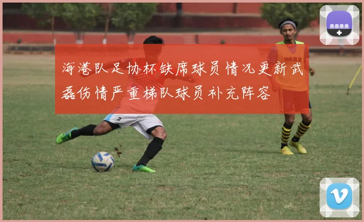 海港队足协杯缺席球员情况更新武磊伤情严重梯队球员补充阵容